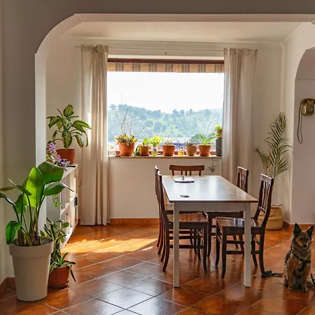 Coliving Together Gargano Alloggio in famiglia Vieste